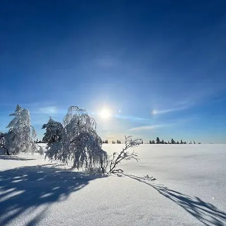 Chalet Moekki Luonnon Keskellae. Tervola