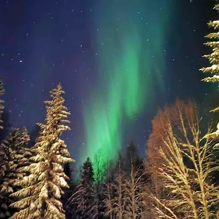 Moekki Luonnon Keskellae.